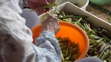 Bükülmüş bambuları kesiyor.