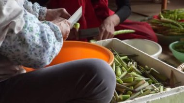 Bükülmüş bambuları kesiyor.