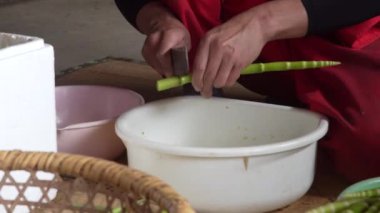 Bükülmüş bambuları kesiyor.