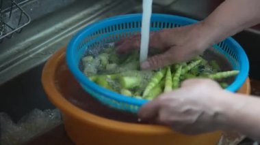 Bambu köklerini suyla yıkayan bir kadın.