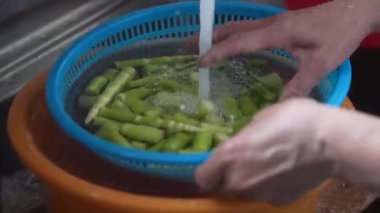 Bambu köklerini suyla yıkayan bir kadın.