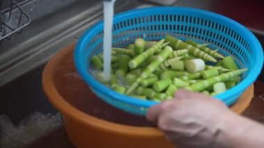 Bambu köklerini suyla yıkayan bir kadın.