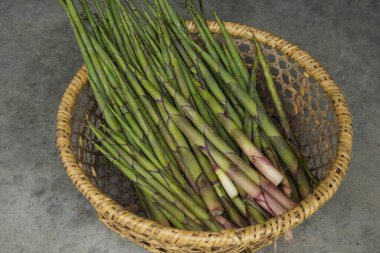 Bir sürü eğri bambu hasat edildi.