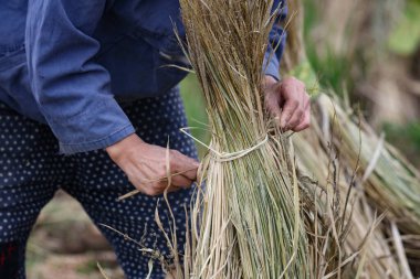 Pipet bağlayan bir kadın.