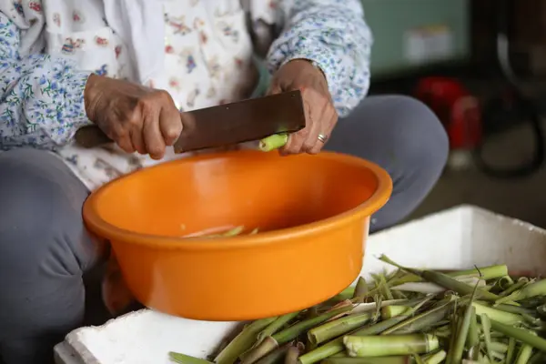 stock image Cutting up bent bamboo