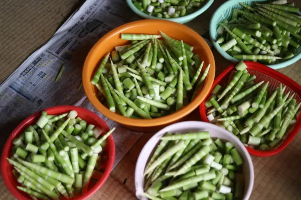 stock image Image of peeled bamboo