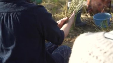 Japon Shimenawa ipi yapma deneyimi