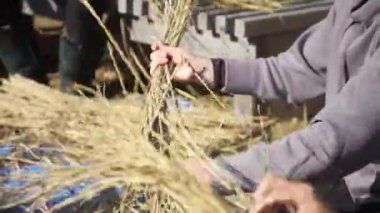 Japon Shimenawa 'sını nasıl yapacağının resmi