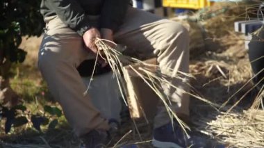 Japon Shimenawa 'sını nasıl yapacağının resmi