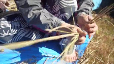 Japon Shimenawa 'sını nasıl yapacağının resmi