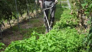 Çim biçme makinesiyle çim biçen bir adam