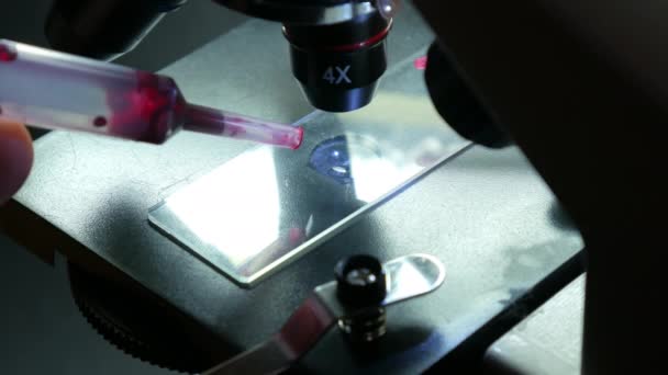 Капля Крови Микроскопом Исследования Вакцин Учёный Проводит Анализ Крови Вирус — стоковое видео