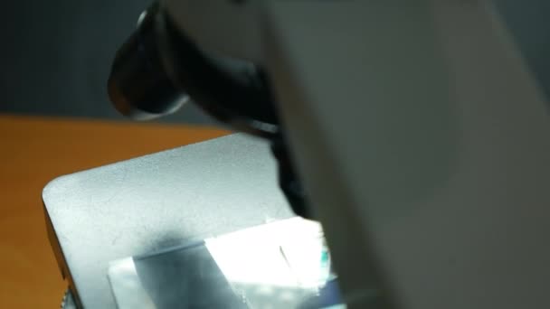 Mikroskop Laboratoryjny Bliska Badający Dojrzałe Drewno Sosnowe Przygotowanym Szkiełku Próbki — Wideo stockowe