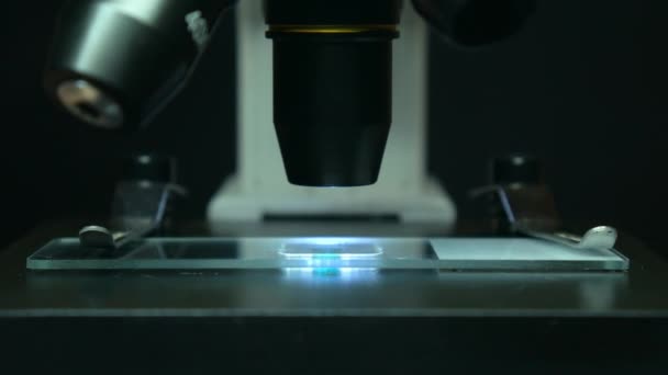 Een Close Maakte Een Wetenschappelijke Laboratoriummicroscoop Die Een Druppel Bloedvirus Stockvideo's