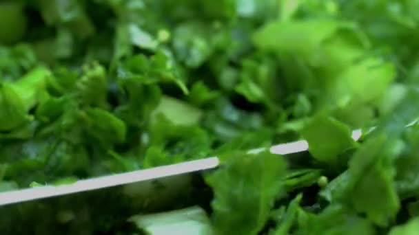 Lavar Cortar Las Verduras Hoja Verde Sarson Saag — Vídeos de Stock