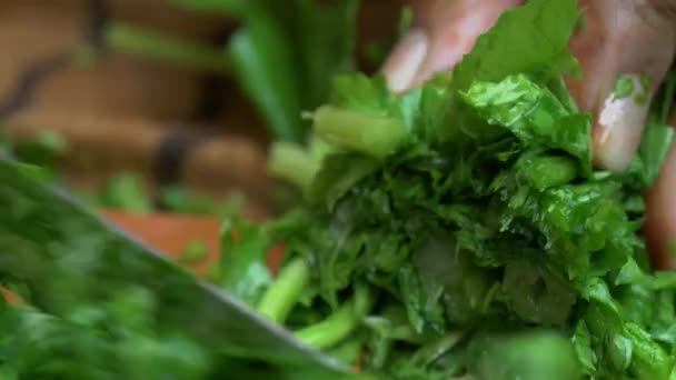 Laver Hacher Les Légumes Verts Feuillus Sarson Saag — Video