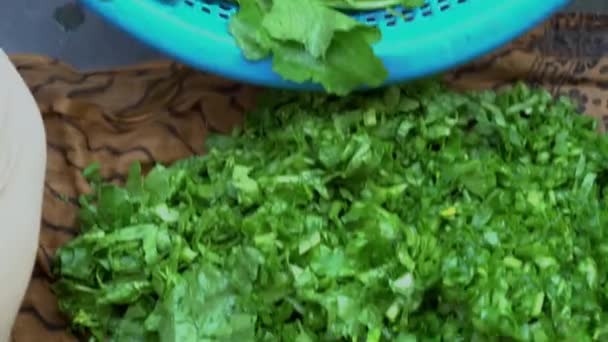 Cortar Lavar Las Verduras Hoja Verde Sarson Saag — Vídeos de Stock
