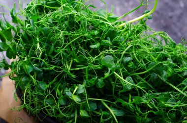 Konteynırda organik bezelye filizi, Mikroyeşil, Sağlıklı Yeme, Karanlık Arkaplan