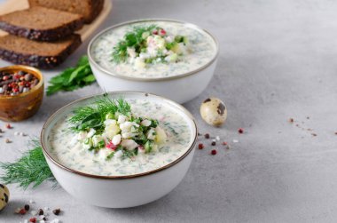 Soğuk Okroshka Çorbası Yumurta, Sebze, Et, Bitki ve Kefir Bir Açık Gri Arkaplanda, Yaz Çorbası