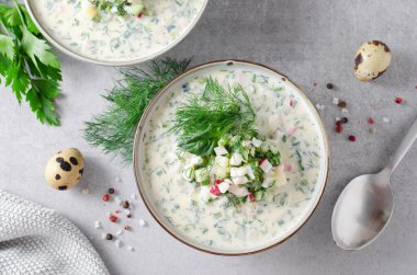 Soğuk Okroshka Çorbası Yumurta, Sebze, Et, Bitki ve Kefir Bir Açık Gri Arkaplanda, Yaz Çorbası