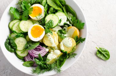 Taze sebze ve sebze, sağlıklı dengeli yemek, patates salatası, salatalık, marul, yumurta ve sebze soslu salata.