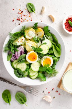 Taze sebze ve sebze, sağlıklı dengeli yemek, patates salatası, salatalık, marul, yumurta ve sebze soslu salata.