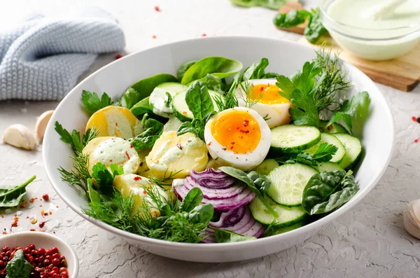 绿佛碗 有春天香草和蔬菜 健康均衡膳食 碗或沙拉 有年轻的土豆 蛋和香草衣服 — 图库照片