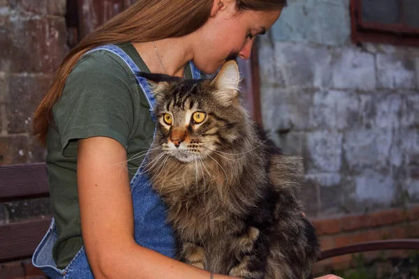 Gri Maine Rakunu, sahibi Kharkiv, Ukrayna ile yürüyüşe çıkan Fedor 'un adını verdi.