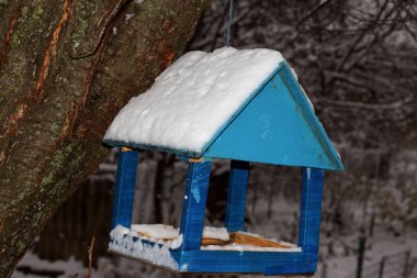 Mavi ev, bahçedeki ağaçta kuş yemi, Kharkiv, Ukrayna