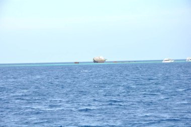 Tiran adası yakınlarındaki batık gemi Lara, Sharm El Sheikh tatil beldesinin bir simgesidir. Mısır, Kızıl Deniz.