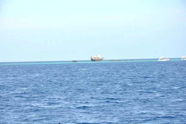 The sunken ship Lara near the island of Tiran is a landmark of the Sharm El Sheikh resort. Egypt, Red Sea.