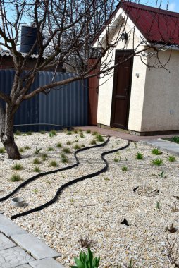 Samimi bir özel Harkov avlusunda onarım