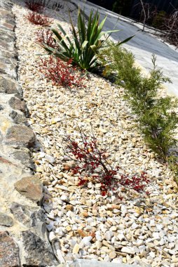 Samimi bir özel Harkov avlusunda onarım