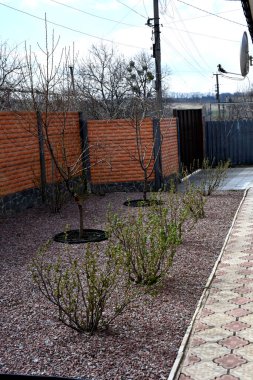 Samimi bir özel Harkov avlusunda onarım