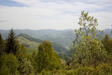 Ukrayna Karpatlarının bahar dağlarındaki güzel manzara