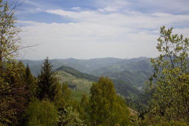 Ukrayna Karpatlarının bahar dağlarındaki güzel manzara