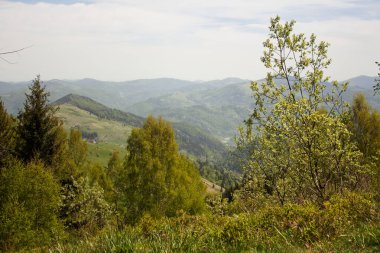 Ukrayna Karpatlarının bahar dağlarındaki güzel manzara