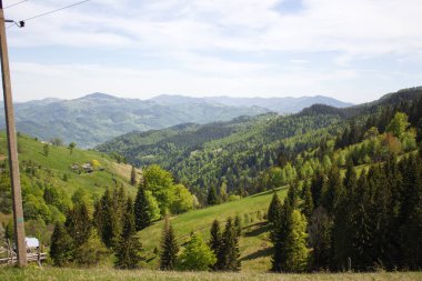 Ukrayna Karpatlarının bahar dağlarındaki güzel manzara