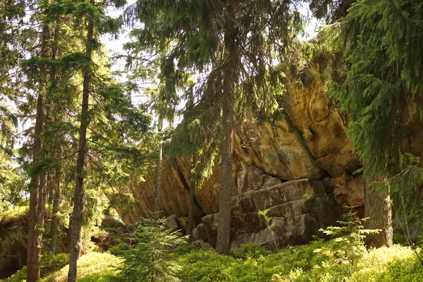 stock image Written stone in the Ukrainian Carpathians.