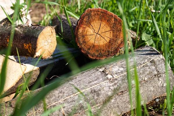 Doğranmış Odun Çimlerin Üzerinde Yatıyor — Stok fotoğraf