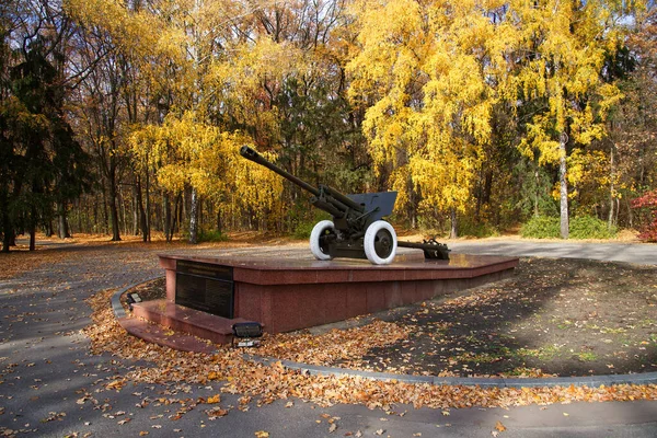 Памятник Старой Советской Пушке Харьковском Лесопарке Осенью — стоковое фото