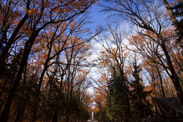 가을에 하르키우의 영광의 기념비에 — 스톡 사진