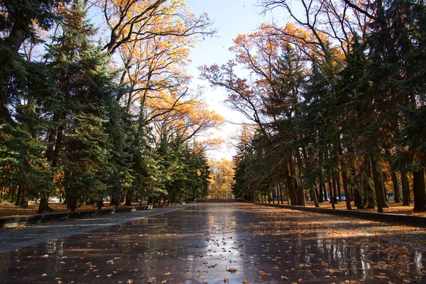 Main Alley Kharkiv Memorial Glory Autumn — Stock Photo, Image