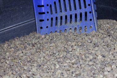 Bentonitli kedi kumluğu.