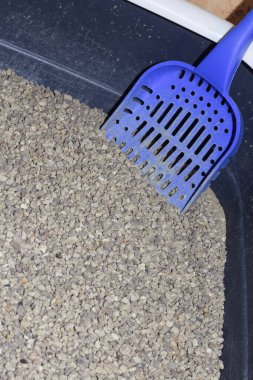 Bentonitli kedi kumluğu.