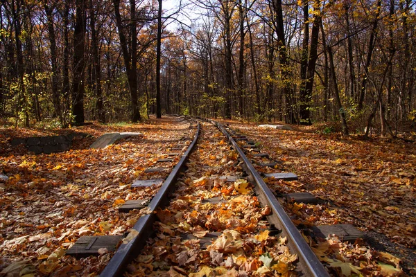 Kharkov Daki Sonbahar Orman Parkında Çocuk Demiryolu — Stok fotoğraf