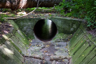 Kharkov 'daki dağdan Vesnin' in inişi üzerine Livnevka