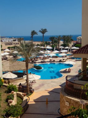 Palmiye ağaçları, çiçekler ve yüzme havuzu olan Mısır otelinin güzel manzarası.