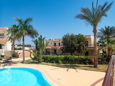 Palmiye ağaçları, çiçekler ve yüzme havuzu olan Mısır otelinin güzel manzarası.