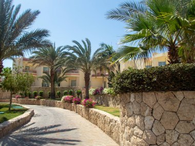 Palmiye ağaçları, çiçekler ve yüzme havuzu olan Mısır otelinin güzel manzarası.